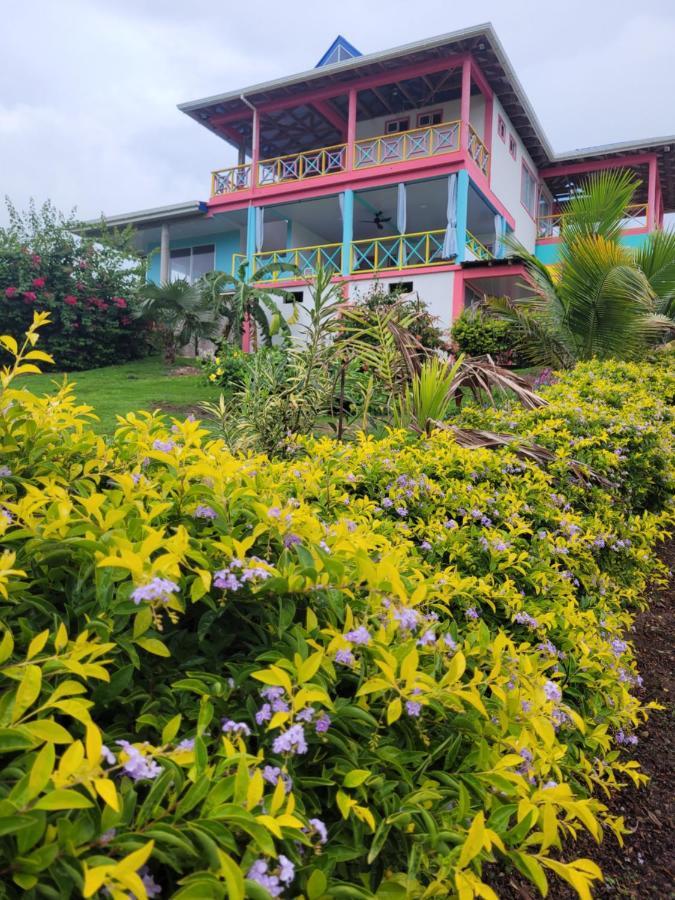 321 Surprise Beach House And Glamping Archibolds Exterior photo